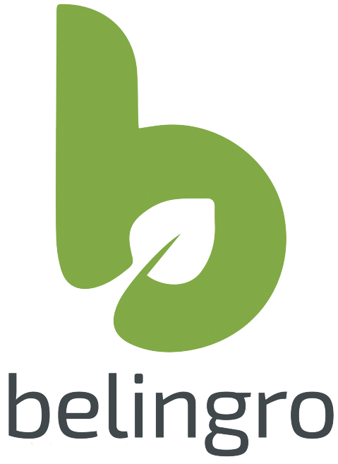 Logo Belingro